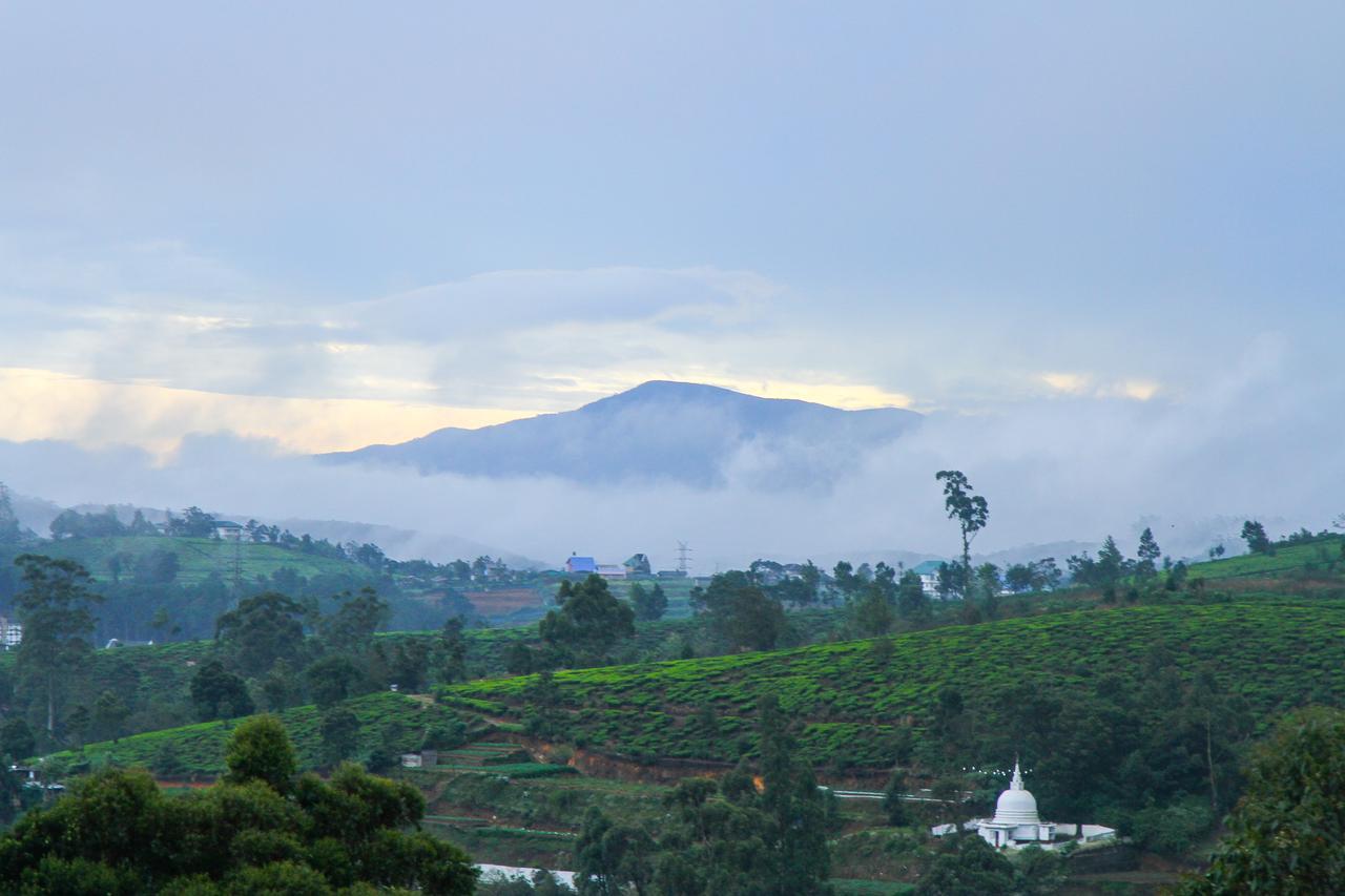 Top Vanice Nuwara Eliya Kültér fotó
